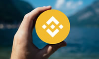 imToken钱包官方地址(怎么下载派币钱包app)
